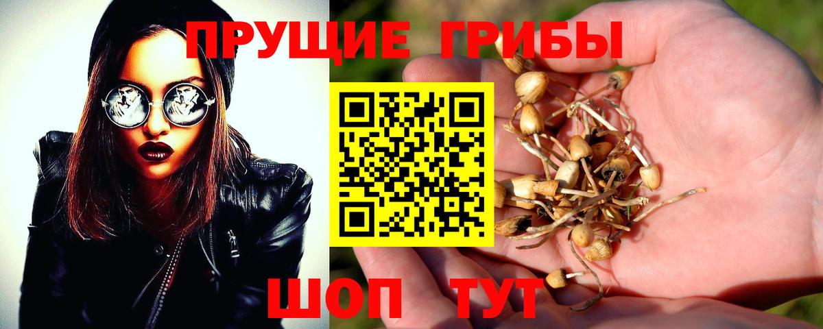 Псилоцибиновые грибы GOLDEN TEACHER  Вход с VPN  Ирбит 