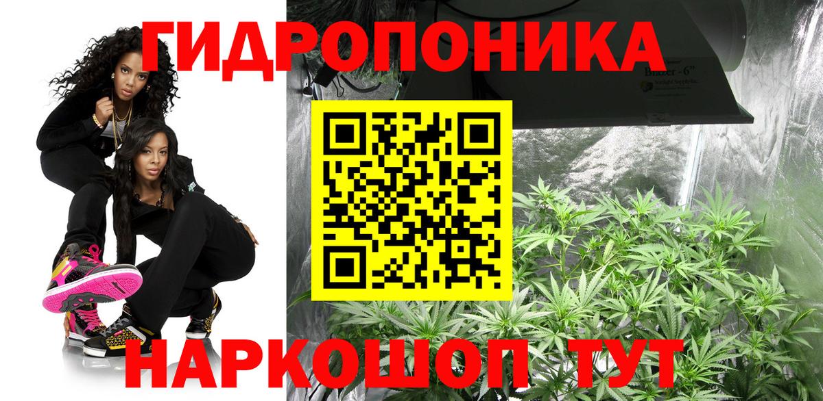 Бошки Шишки индика Ирбит